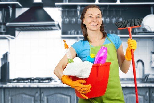 Deep cleaning treatment for pet urine stains and smells in a Wennington home