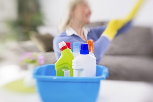 Investigation of a carpet cleaning issue with review documents