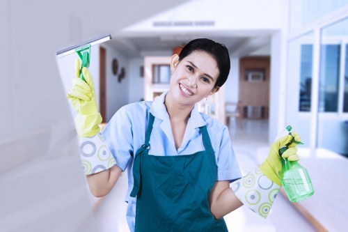 Specialist mattress cleaning equipment used in Wennington homes
