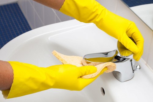 Professional carpet cleaning assessment in a Wennington home
