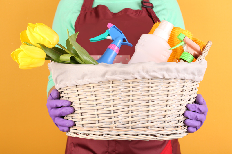 window cleaning professional cleaners